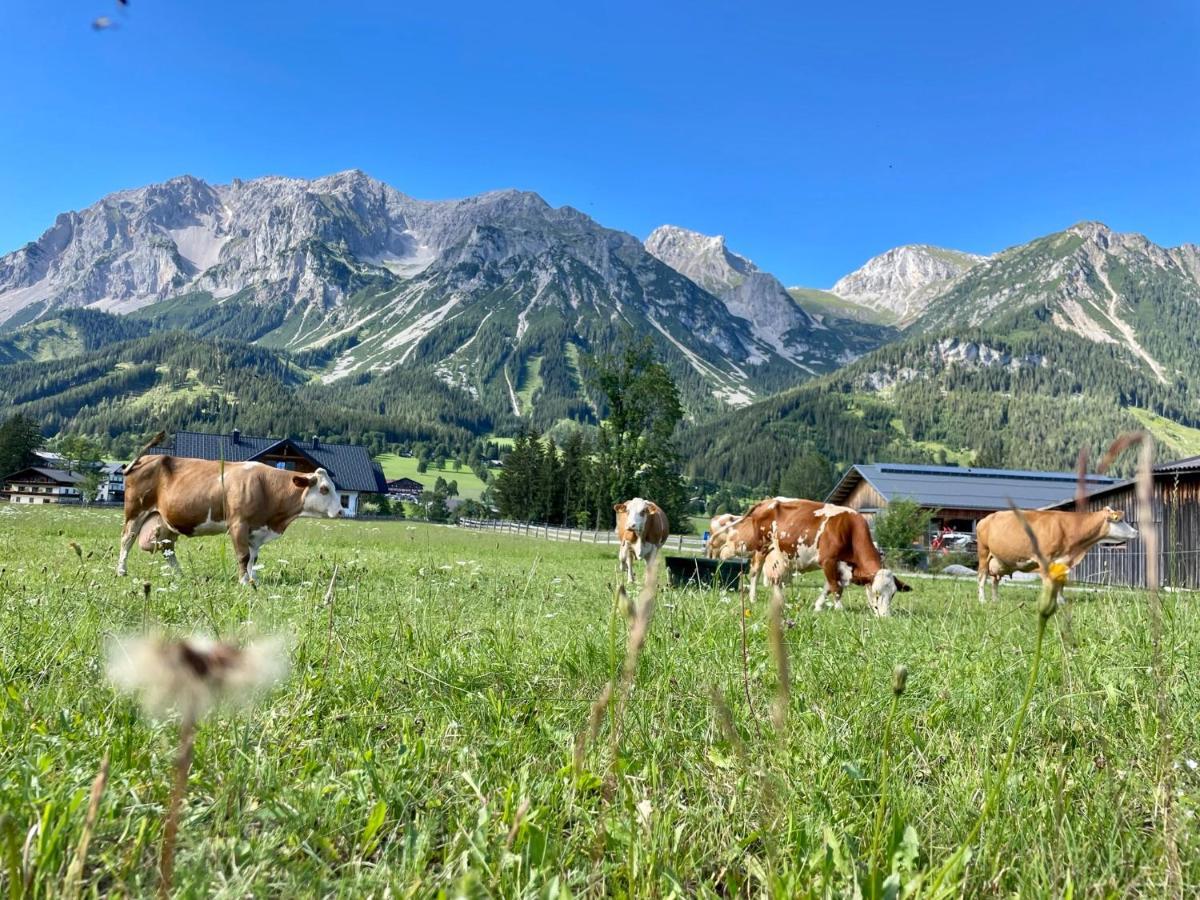 Pension Moeslehnerhof Ramsau am Dachstein Exterior foto
